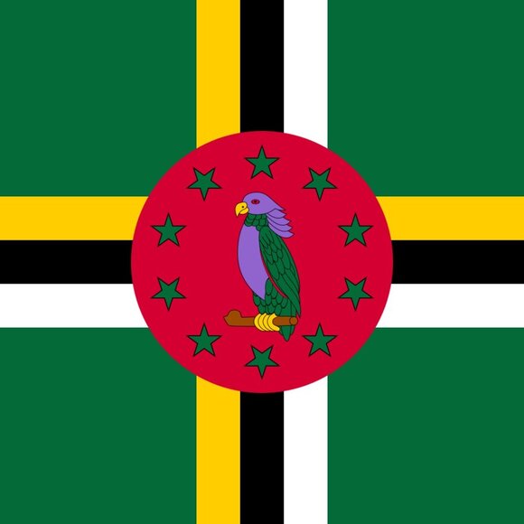 Dominica flag bead keychain, handmade, seed beads - Picture 3 of 5